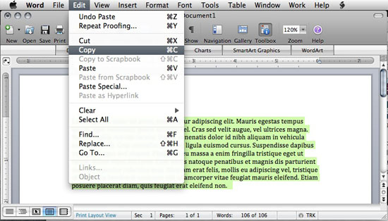 Open a new document in a text editor (e.g. Word)
Paste the copied text into the new document